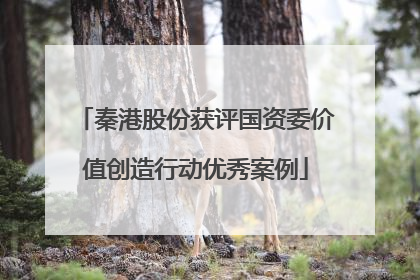秦港股份获评国资委价值创造行动优秀案例