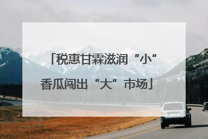 税惠甘霖滋润“小”香瓜闯出“大”市场