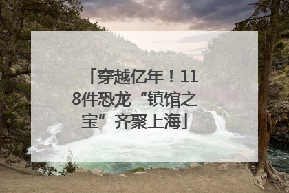 穿越亿年！118件恐龙“镇馆之宝”齐聚上海