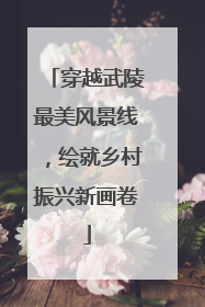 穿越武陵最美风景线，绘就乡村振兴新画卷