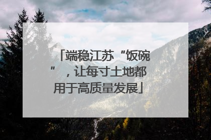 端稳江苏“饭碗”，让每寸土地都用于高质量发展