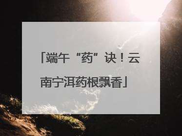 端午“药”诀！云南宁洱药根飘香