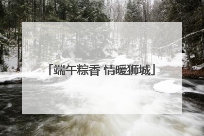 端午粽香 情暖狮城