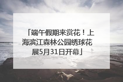 端午假期来赏花！上海滨江森林公园绣球花展5月31日开幕