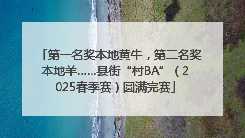 第一名奖本地黄牛，第二名奖本地羊……县街“村BA”（2025春季赛）圆满完赛