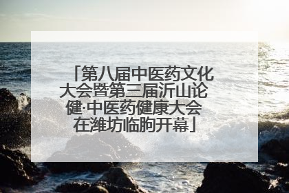 第八届中医药文化大会暨第三届沂山论健·中医药健康大会在潍坊临朐开幕
