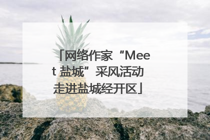 网络作家“Meet 盐城”采风活动走进盐城经开区