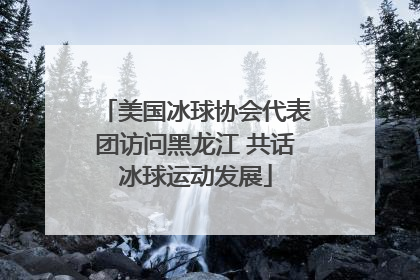 美国冰球协会代表团访问黑龙江 共话冰球运动发展
