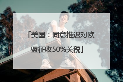 美国：同意推迟对欧盟征收50%关税
