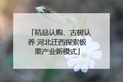 精品认购、古树认养 河北迁西探索板栗产业新模式