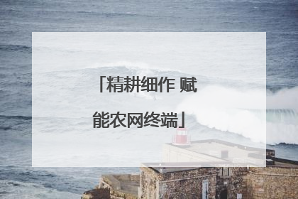 精耕细作 赋能农网终端