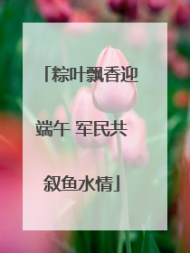 粽叶飘香迎端午 军民共叙鱼水情