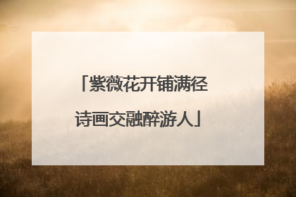 紫薇花开铺满径 诗画交融醉游人