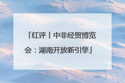 红评丨中非经贸博览会：湖南开放新引擎