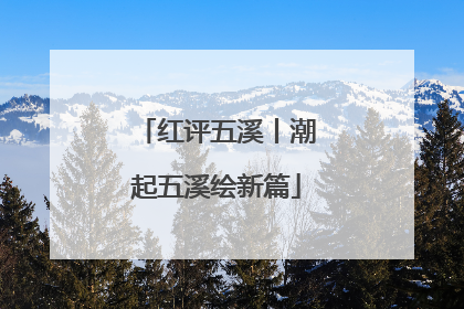 红评五溪丨潮起五溪绘新篇