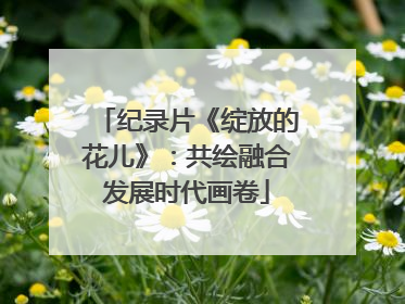 纪录片《绽放的花儿》：共绘融合发展时代画卷