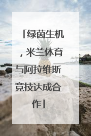 绿茵生机，米兰体育与阿拉维斯竞技达成合作
