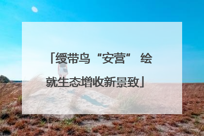 绶带鸟“安营” 绘就生态增收新景致