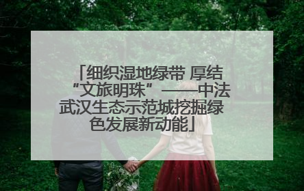 细织湿地绿带 厚结“文旅明珠”——中法武汉生态示范城挖掘绿色发展新动能
