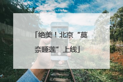 绝美！北京“莫奈睡莲”上线