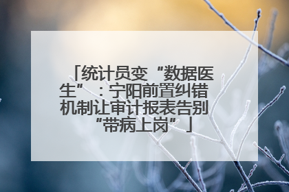 统计员变“数据医生”：宁阳前置纠错机制让审计报表告别“带病上岗”