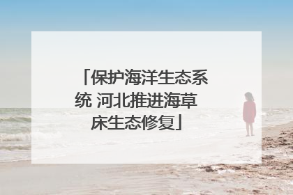 保护海洋生态系统 河北推进海草床生态修复