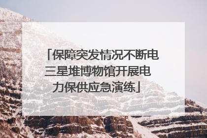 保障突发情况不断电 三星堆博物馆开展电力保供应急演练