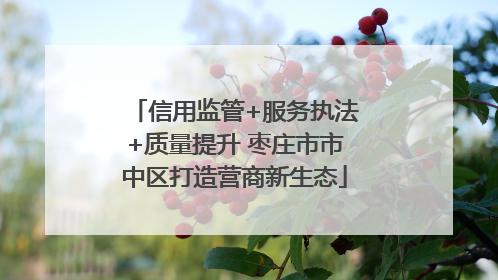 信用监管+服务执法+质量提升 枣庄市市中区打造营商新生态