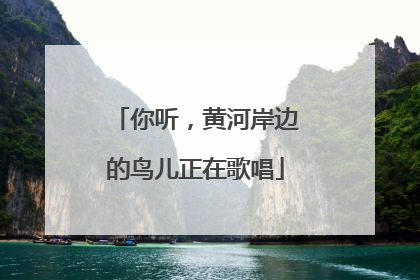 你听，黄河岸边的鸟儿正在歌唱