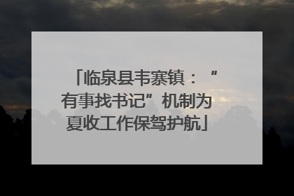 临泉县韦寨镇：“有事找书记”机制为夏收工作保驾护航
