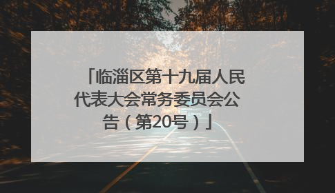 临淄区第十九届人民代表大会常务委员会公告（第20号）