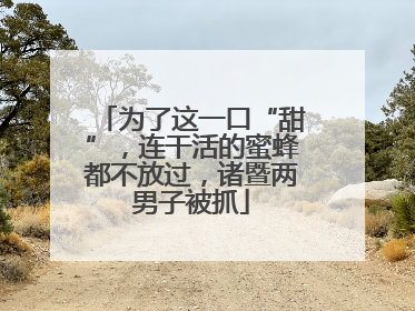 为了这一口“甜”，连干活的蜜蜂都不放过，诸暨两男子被抓