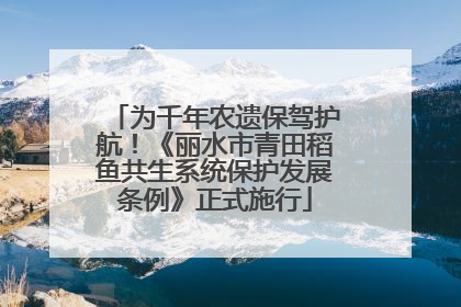 为千年农遗保驾护航！《丽水市青田稻鱼共生系统保护发展条例》正式施行