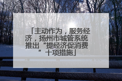 主动作为，服务经济，扬州市城管系统推出“提经济促消费”十项措施