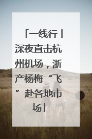 一线行丨深夜直击杭州机场，浙产杨梅“飞”赴各地市场