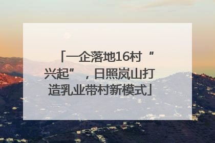 一企落地16村“兴起”，日照岚山打造乳业带村新模式