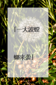 一大波螳螂来袭
