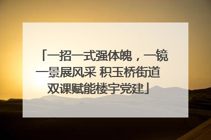 一招一式强体魄，一镜一景展风采 积玉桥街道双课赋能楼宇党建