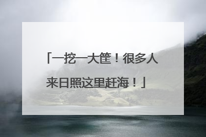 一挖一大筐！很多人来日照这里赶海！