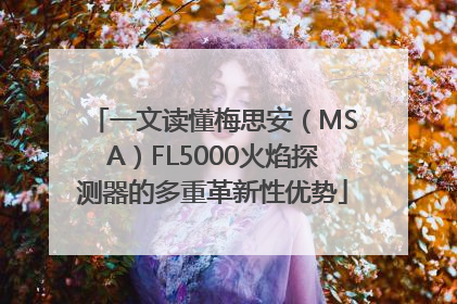 一文读懂梅思安（MSA）FL5000火焰探测器的多重革新性优势
