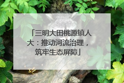 三明大田桃源镇人大：推动河流治理，筑牢生态屏障