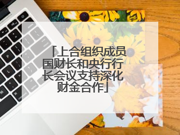 上合组织成员国财长和央行行长会议支持深化财金合作