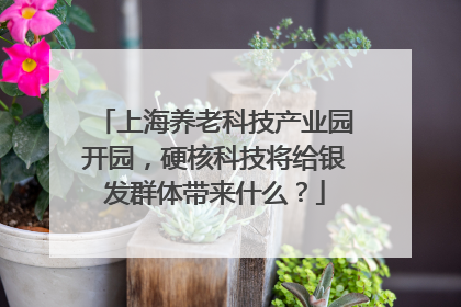 上海养老科技产业园开园，硬核科技将给银发群体带来什么？