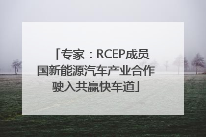 专家：RCEP成员国新能源汽车产业合作驶入共赢快车道