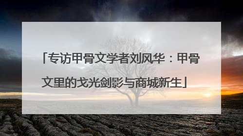 专访甲骨文学者刘风华：甲骨文里的戈光剑影与商城新生