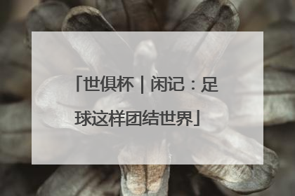 世俱杯｜闲记：足球这样团结世界