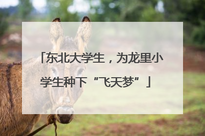 东北大学生，为龙里小学生种下“飞天梦”