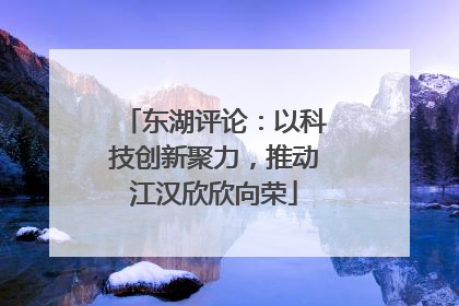 东湖评论：以科技创新聚力，推动江汉欣欣向荣