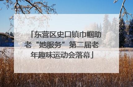 东营区史口镇巾帼助老“她服务”第二届老年趣味运动会落幕