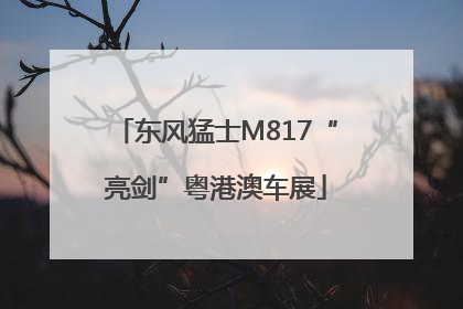 东风猛士M817“亮剑”粤港澳车展